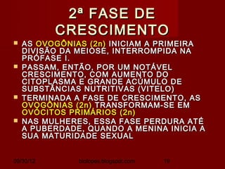 2ª FASE DE
           CRESCIMENTO
   AS OVOGÔNIAS (2n) INICIAM A PRIMEIRA
    DIVISÃO DA MEIOSE, INTERROMPIDA NA
    PRÓFASE I.
   PASSAM, ENTÃO, POR UM NOTÁVEL
    CRESCIMENTO, COM AUMENTO DO
    CITOPLASMA E GRANDE ACÚMULO DE
    SUBSTÂNCIAS NUTRITIVAS (VITELO)
   TERMINADA A FASE DE CRESCIMENTO, AS
    OVOGÔNIAS (2n) TRANSFORMAM-SE EM
    OVÓCITOS PRIMÁRIOS (2n)
   NAS MULHERES, ESSA FASE PERDURA ATÉ
    A PUBERDADE, QUANDO A MENINA INICIA A
    SUA MATURIDADE SEXUAL


09/30/12       biolopes.blogspot.com   19
 