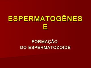 ESPERMATOGÊNES
       E

      FORMAÇÃO
  DO ESPERMATOZOIDE
 