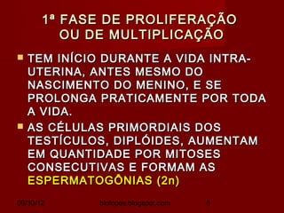 1ª FASE DE PROLIFERAÇÃO
          OU DE MULTIPLICAÇÃO
   TEM INÍCIO DURANTE A VIDA INTRA-
    UTERINA, ANTES MESMO DO
    NASCIMENTO DO MENINO, E SE
    PROLONGA PRATICAMENTE POR TODA
    A VIDA.
   AS CÉLULAS PRIMORDIAIS DOS
    TESTÍCULOS, DIPLÓIDES, AUMENTAM
    EM QUANTIDADE POR MITOSES
    CONSECUTIVAS E FORMAM AS
    ESPERMATOGÔNIAS (2n)
09/30/12     biolopes.blogspot.com   5
 