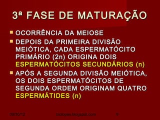 3ª FASE DE MATURAÇÃO
   OCORRÊNCIA DA MEIOSE
   DEPOIS DA PRIMEIRA DIVISÃO
    MEIÓTICA, CADA ESPERMATÓCITO
    PRIMÁRIO (2n) ORIGINA DOIS
    ESPERMATÓCITOS SECUNDÁRIOS (n)
   APÓS A SEGUNDA DIVISÃO MEIÓTICA,
    OS DOIS ESPERMATÓCITOS DE
    SEGUNDA ORDEM ORIGINAM QUATRO
    ESPERMÁTIDES (n)

09/30/12     biolopes.blogspot.com   9
 