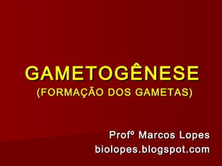 GAMETOGÊNESE
(FORMAÇÃO DOS GAMETAS)



           Profº Marcos Lopes
        biolopes.blogspot.com
 