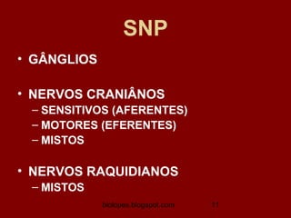 SNP
• GÂNGLIOS

• NERVOS CRANIÂNOS
 – SENSITIVOS (AFERENTES)
 – MOTORES (EFERENTES)
 – MISTOS

• NERVOS RAQUIDIANOS
 – MISTOS
             biolopes.blogspot.com   11
 