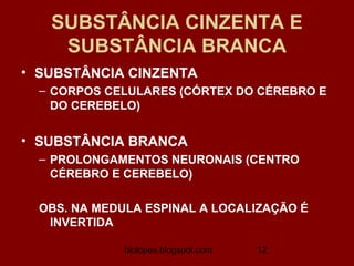 SUBSTÂNCIA CINZENTA E
    SUBSTÂNCIA BRANCA
• SUBSTÂNCIA CINZENTA
  – CORPOS CELULARES (CÓRTEX DO CÉREBRO E
    DO CEREBELO)


• SUBSTÂNCIA BRANCA
  – PROLONGAMENTOS NEURONAIS (CENTRO
    CÉREBRO E CEREBELO)

  OBS. NA MEDULA ESPINAL A LOCALIZAÇÃO É
   INVERTIDA

              biolopes.blogspot.com   12
 