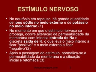 ESTÍMULO NERVOSO
• No neurônio em repouso, há grande quantidade
  de íons sódio no meio externo e de potássio
  no meio interno (1)
• No momento em que o estímulo nervoso se
  propaga, ocorre alteração de permeabilidade da
  membrana com intensa entrada de Na e
  discreta saída de K, o que leva o meio interno a
  ficar "positivo" e o meio externo a ficar
  "negativo“(2)
• Após a passagem do estímulo, normaliza-se a
  permeabilidade da membrana e a situação
  inicial é retomada (3)
                biolopes.blogspot.com   3
 