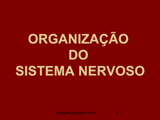 ORGANIZAÇÃO
      DO
SISTEMA NERVOSO

    biolopes.blogspot.com   6
 