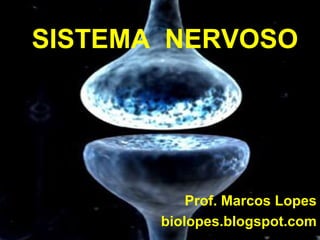 SISTEMA NERVOSO




                        Prof. Marcos Lopes
                 biolopes.blogspot.com
    biolopes.blogspot.com      1
 