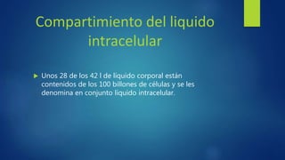 Regulación del volumen y composición liquido extracelular | PPTX
