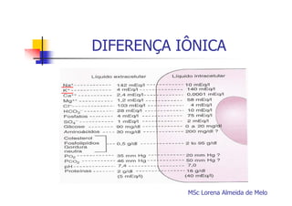 DIFERENÇA IÔNICA

MSc Lorena Almeida de Melo

 
