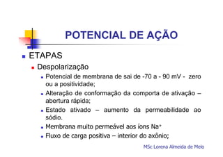 POTENCIAL DE AÇÃO
ETAPAS
Despolarização
Potencial de membrana de sai de -70 a - 90 mV - zero
ou a positividade;
Alteração de conformação da comporta de ativação –
abertura rápida;
Estado ativado – aumento da permeabilidade ao
sódio.
Membrana muito permeável aos íons Na+
Fluxo de carga positiva – interior do axônio;
MSc Lorena Almeida de Melo

 