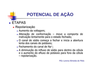 POTENCIAL DE AÇÃO
ETAPAS
Repolarização
Aumento da voltagem;
Alteração de conformação – move a comporta de
inativação lentamente para o estado fechado;
O canal de sódio começa a fechar e inicia a abertura
lenta dos canais de potássio;
Fechamento do canal de Na+;
A diminuição do influxo de sódio para dentro da célula
e o aumento do efluxo de potássio para fora da célula
– repolarização.
MSc Lorena Almeida de Melo

 