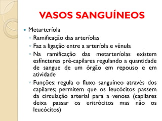 Fisiologia Humana 5 - Sistema Cardiovascular | PDF