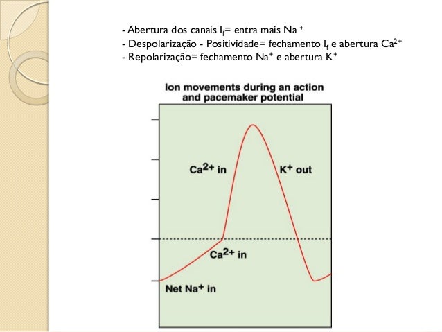 Define fisiologia Define fisiologia