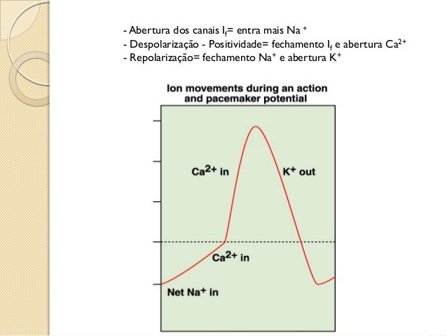 Define fisiologia