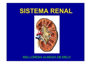 SISTEMA RENAL

MSc LORENA ALMEIDA DE MELO

 