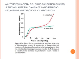 «AUTORREGULACIÓN» DEL FLUJO SANGUÍNEO CUANDO
LA PRESIÓN ARTERIAL CAMBIA DE LA NORMALIDAD:
MECANISMOS «METABÓLICOS» Y «MIÓGENOS»
 
