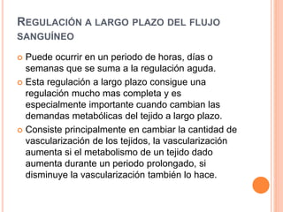 REGULACIÓN A LARGO PLAZO DEL FLUJO
SANGUÍNEO
 Puede ocurrir en un periodo de horas, días o
semanas que se suma a la regulación aguda.
 Esta regulación a largo plazo consigue una
regulación mucho mas completa y es
especialmente importante cuando cambian las
demandas metabólicas del tejido a largo plazo.
 Consiste principalmente en cambiar la cantidad de
vascularización de los tejidos, la vascularización
aumenta si el metabolismo de un tejido dado
aumenta durante un periodo prolongado, si
disminuye la vascularización también lo hace.
 