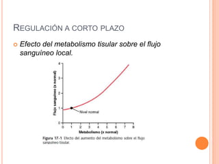 REGULACIÓN A CORTO PLAZO
 Efecto del metabolismo tisular sobre el flujo
sanguíneo local.
 