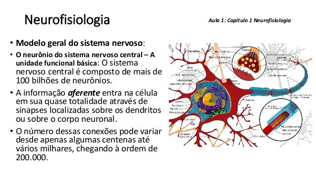 Neurofisiologia - aula 1 capítulo 1 - organização do sistema nervoso