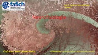 Neurofisiologia
Professor Cleanto Santos Vieira
Aula 2: Capítulo 2 Neurofisiologia
- Sinapses
O Hipocampo - Parte do cérebro responsável pela memória
 