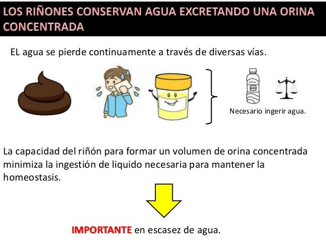 Imagen relacionada