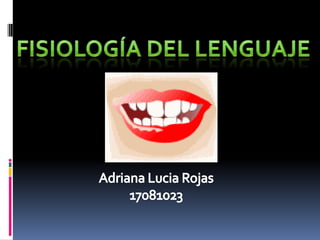 Fisiología del lenguaje  Adriana Lucia Rojas 17081023 