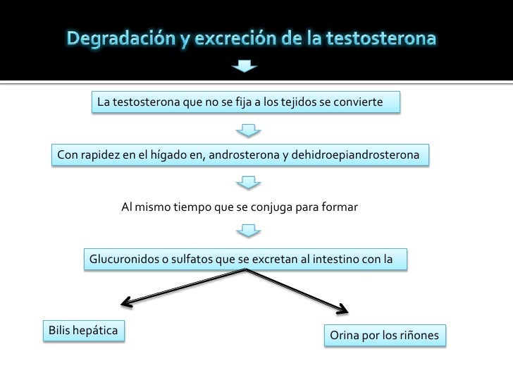 Entrar en dieta del metabolismo acelerado pdf