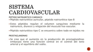 PEPTIDO NATRIURETICO CARDIACO
 Péptido natriurético auricular, péptido natriurético tipo B
 Estos péptidos regulan el volumen sanguíneo mediante la
natriuresis, diuresis y relajación del musculo liso vascular.
 Péptido natriurético tipo C se encuentra sobre todo en tejidos no
PROSTAGLANDINAS
 Se cree que el aumento en la producción de prostaglandinas
embarazo tiene una función central en el control del tono
arterial y el equilibrio del sodio.
 