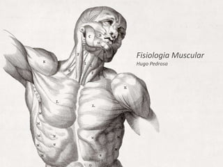 Fisiologia Muscular Hugo Pedrosa 