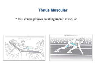 Tônus MuscularTônus Muscular
“ Resistência passiva ao alongamento muscular”
 