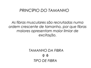 PRINCÍPIO DO TAMANHO
As fibras musculares são recrutadas numa
ordem crescente de tamanho, por que fibras
maiores apresentam maior limiar de
excitação.
TAMANHO DA FIBRA

TIPO DE FIBRA
 