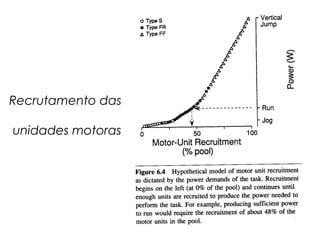 Recrutamento das
unidades motoras
 