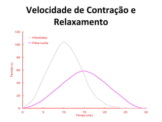 Velocidade de Contração e
Relaxamento
0
20
40
60
80
100
120
0 5 10 15 20 25 30
Tempo (ms)
Tensão(ug)
FibraVeloz
Fibra Lenta
 