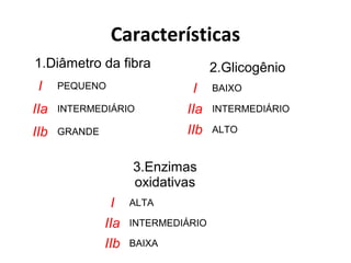 Características
1.Diâmetro da fibra
I PEQUENO
IIa INTERMEDIÁRIO
IIb GRANDE
2.Glicogênio
I BAIXO
IIa INTERMEDIÁRIO
IIb ALTO
3.Enzimas
oxidativas
I ALTA
IIa INTERMEDIÁRIO
IIb BAIXA
 