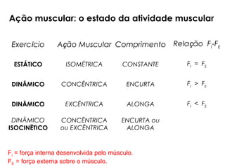 Ação muscular: o estado da atividade muscular
Exercício Ação Muscular Comprimento Relação FI
-FE
ESTÁTICO ISOMÉTRICA CONSTANTE FI
= FE
DINÂMICO CONCÊNTRICA ENCURTA FI
> FE
DINÂMICO EXCÊNTRICA ALONGA FI
< FE
DINÂMICO
ISOCINËTICO
CONCÊNTRICA
ou EXCÊNTRICA
ENCURTA ou
ALONGA
Fi = força interna desenvolvida pelo músculo.
FE = força externa sobre o músculo.
 