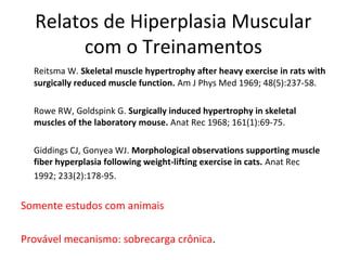 Relatos de Hiperplasia Muscular
com o Treinamentos
Reitsma W. Skeletal muscle hypertrophy after heavy exercise in rats with
surgically reduced muscle function. Am J Phys Med 1969; 48(5):237-58.
Rowe RW, Goldspink G. Surgically induced hypertrophy in skeletal
muscles of the laboratory mouse. Anat Rec 1968; 161(1):69-75.
Giddings CJ, Gonyea WJ. Morphological observations supporting muscle
fiber hyperplasia following weight-lifting exercise in cats. Anat Rec
1992; 233(2):178-95.
Somente estudos com animais
Provável mecanismo: sobrecarga crônica.
 