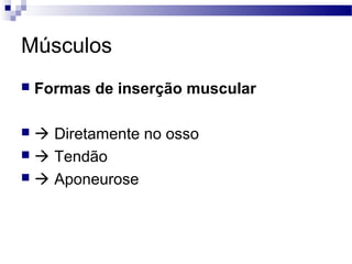 Músculos
 Formas de inserção muscular
  Diretamente no osso
  Tendão
  Aponeurose
 
