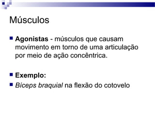 Músculos
 Agonistas - músculos que causam
movimento em torno de uma articulação
por meio de ação concêntrica.
 Exemplo:
 Bíceps braquial na flexão do cotovelo
 
