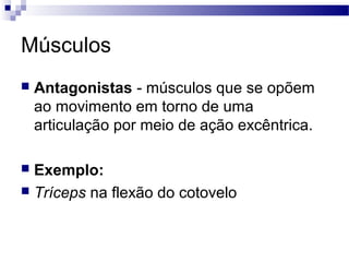Músculos
 Antagonistas - músculos que se opõem
ao movimento em torno de uma
articulação por meio de ação excêntrica.
 Exemplo:
 Tríceps na flexão do cotovelo
 