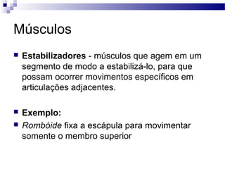 Músculos
 Estabilizadores - músculos que agem em um
segmento de modo a estabilizá-lo, para que
possam ocorrer movimentos específicos em
articulações adjacentes.
 Exemplo:
 Rombóide fixa a escápula para movimentar
somente o membro superior
 