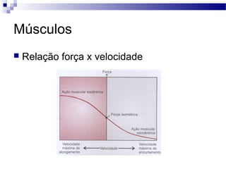 Músculos
 Relação força x velocidade
 