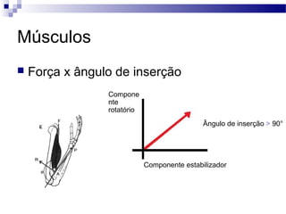 Músculos
 Força x ângulo de inserção
Compone
nte
rotatório
Componente estabilizador
Ângulo de inserção > 90°
 