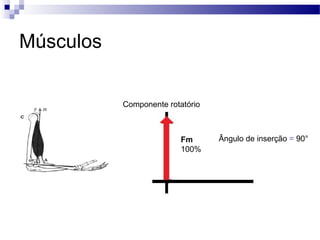 Músculos
Componente rotatório
Fm
100%
Ângulo de inserção = 90°
 