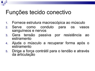 Funções tecido conectivo
1. Fornece estrutura macroscópica ao músculo
2. Serve como conduto para os vasos
sanguíneos e nervos
3. Gera tensão passiva por resistência ao
estiramento
4. Ajuda o músculo a recuperar forma após o
estiramento
5. Dirige a força contrátil para o tendão e através
da articulação
 