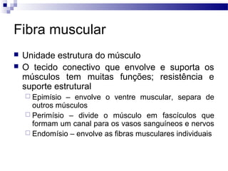 Fibra muscular
 Unidade estrutura do músculo
 O tecido conectivo que envolve e suporta os
músculos tem muitas funções; resistência e
suporte estrutural
 Epimísio – envolve o ventre muscular, separa de
outros músculos
 Perimísio – divide o músculo em fascículos que
formam um canal para os vasos sanguíneos e nervos
 Endomísio – envolve as fibras musculares individuais
 