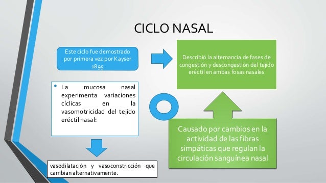Fisiologia nasal carlos matos
