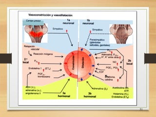 FISIOLOGIA sistema NERVIOSO de los animales | PDF