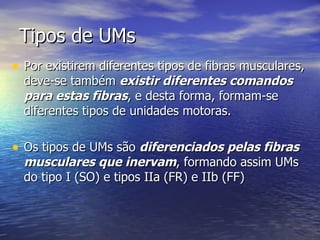 Tipos de UMs Por existirem diferentes tipos de fibras musculares, deve-se também  existir diferentes comandos para estas fibras , e desta forma, formam-se diferentes tipos de unidades motoras. Os tipos de UMs são  diferenciados pelas fibras musculares que inervam , formando assim UMs do tipo I (SO) e tipos IIa (FR) e IIb (FF)  