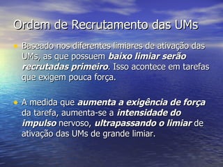 Baseado nos diferentes limiares de ativação das UMs, as que possuem  baixo limiar serão recrutadas primeiro . Isso acontece em tarefas que exigem pouca força. A medida que  aumenta a exigência de força  da tarefa, aumenta-se a  intensidade do impulso  nervoso,  ultrapassando o limiar  de ativação das UMs de grande limiar. Ordem de Recrutamento das UMs 