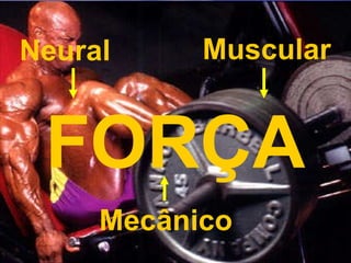 FORÇA Neural  Muscular Mecânico 