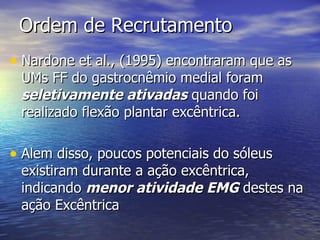 Ordem de Recrutamento Nardone et al., (1995) encontraram que as UMs FF do gastrocnêmio medial foram  seletivamente ativadas  quando foi realizado flexão plantar excêntrica. Alem disso, poucos potenciais do sóleus existiram durante a ação excêntrica, indicando  menor atividade EMG  destes na ação Excêntrica 